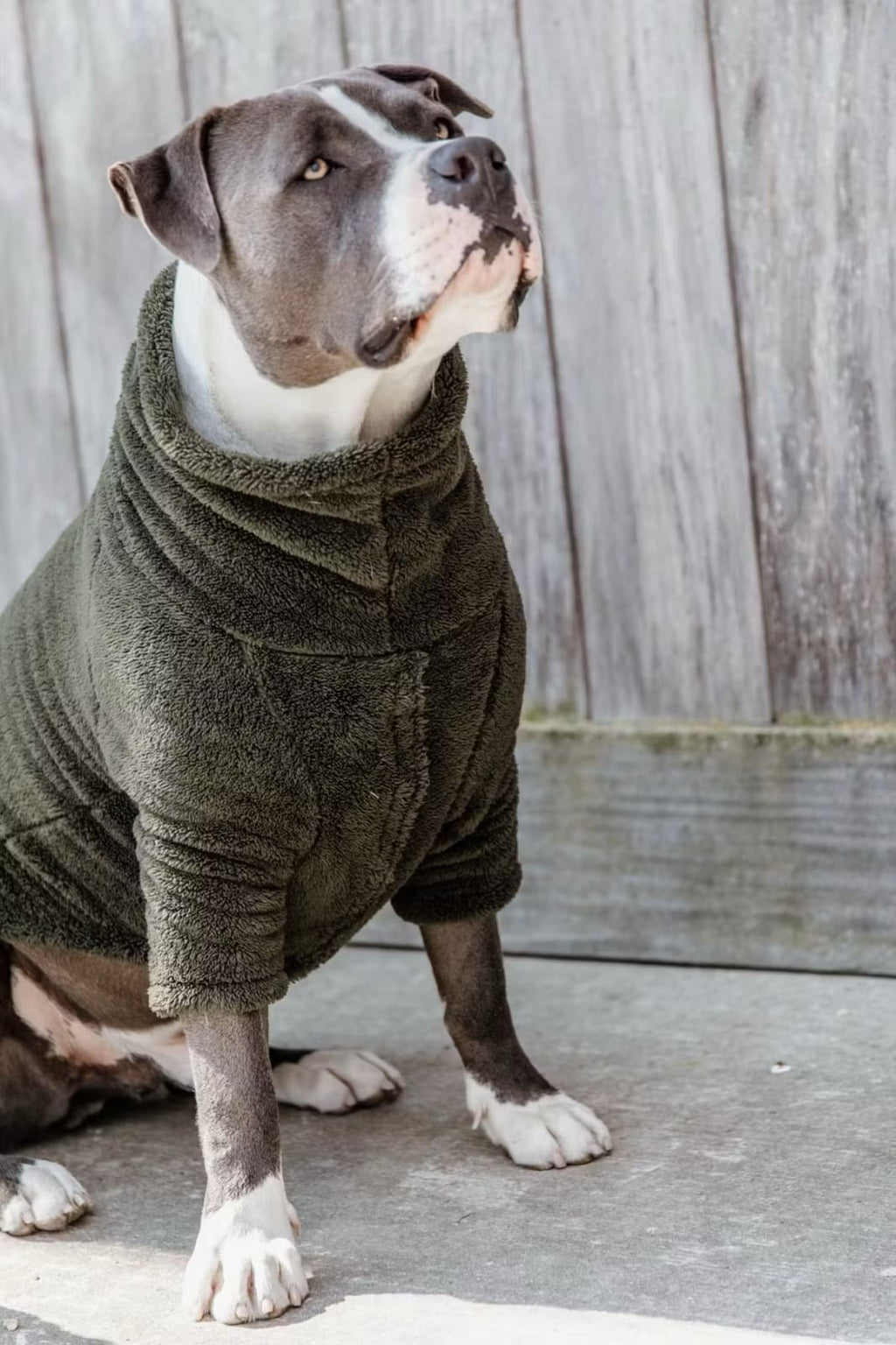 Kentucky Dog Sweater Teddy Fleece - Løwenborg - Kentucky Dogwear