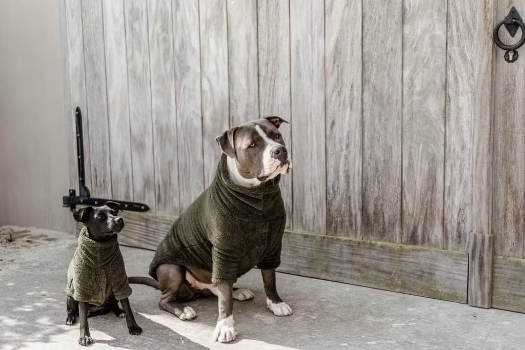 Kentucky Dog Sweater Teddy Fleece - Løwenborg - Kentucky Dogwear