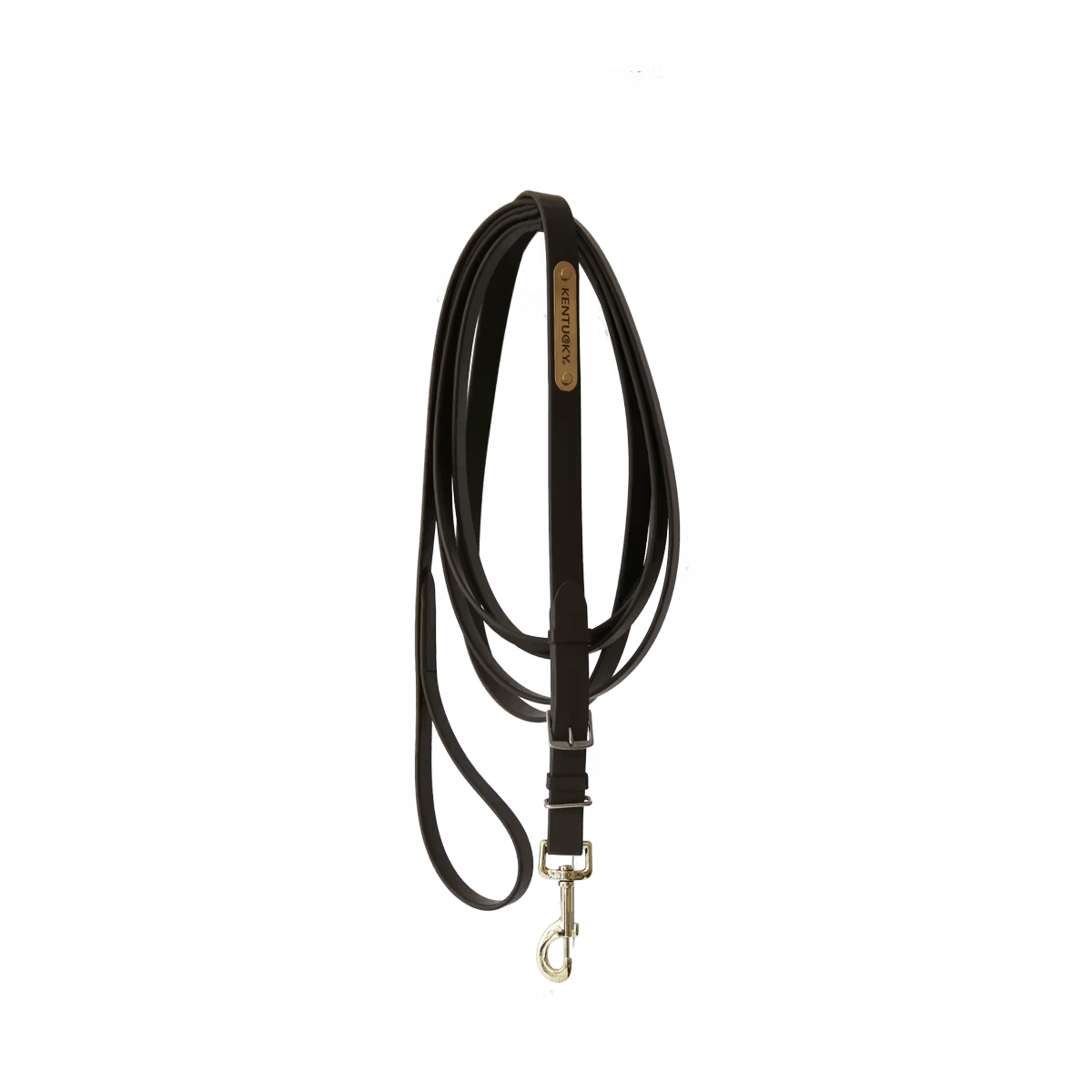 Kentucky Stallion Lead