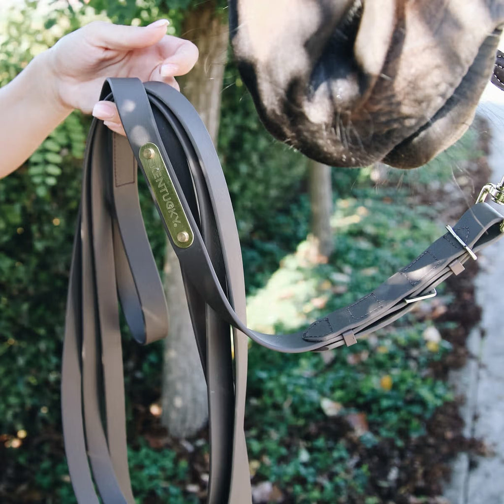 Kentucky Stallion Lead - Løwenborg - Kentucky Horsewear