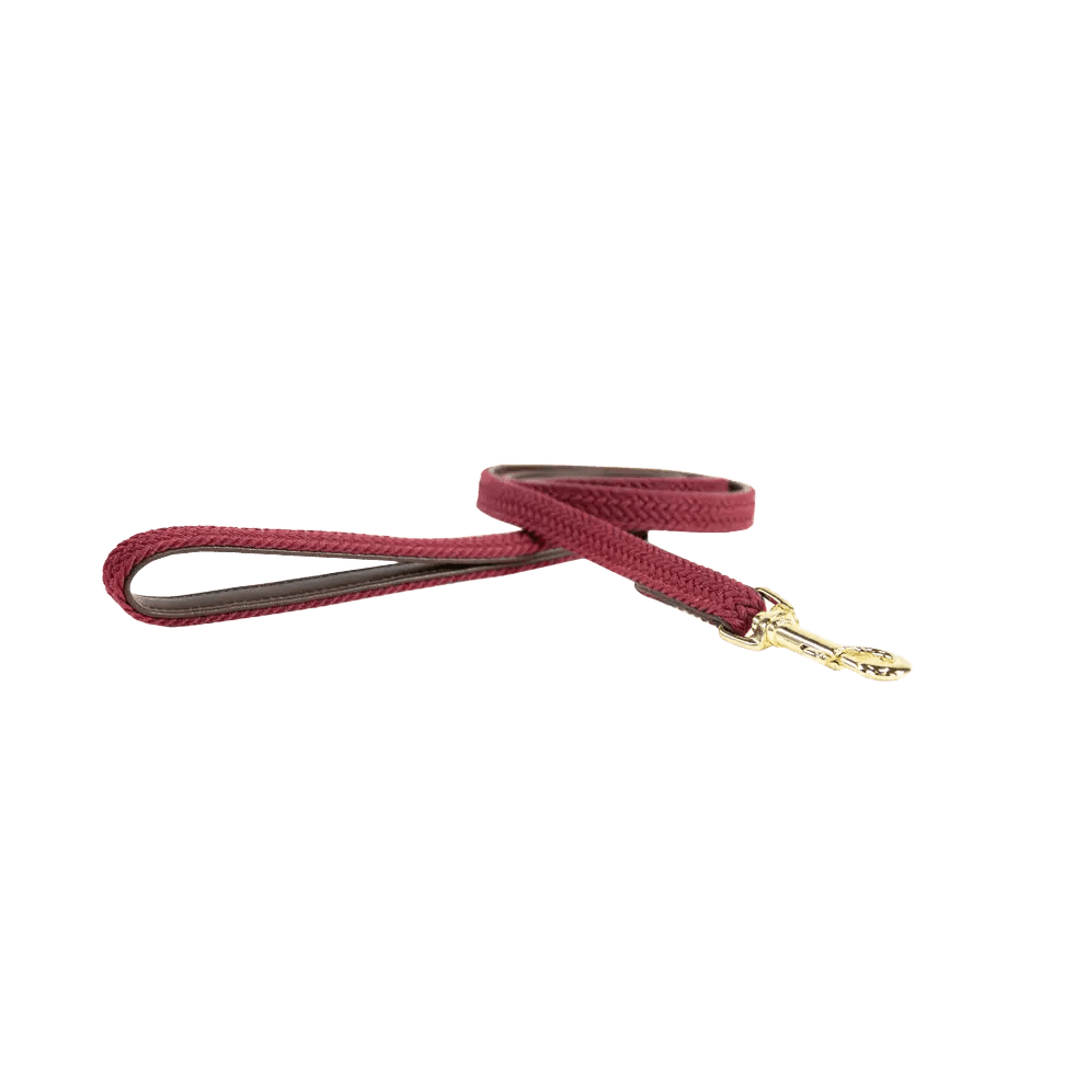 Kentucky Plaited Nylon Dog Lead - Løwenborg - Kentucky Dogwear