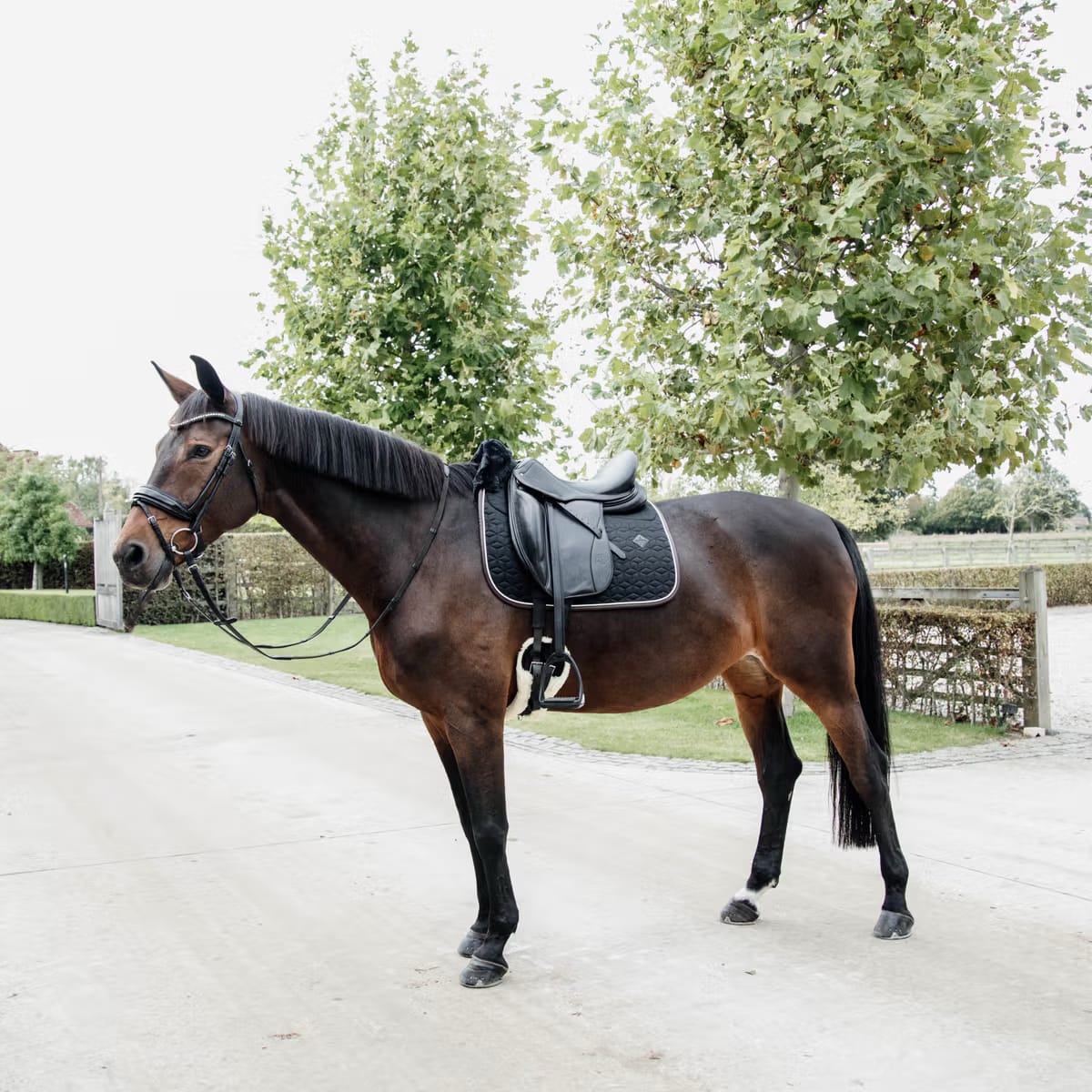 Kentucky Saddle Pad Skin Friendly Dressage - Løwenborg - Kentucky Horsewear