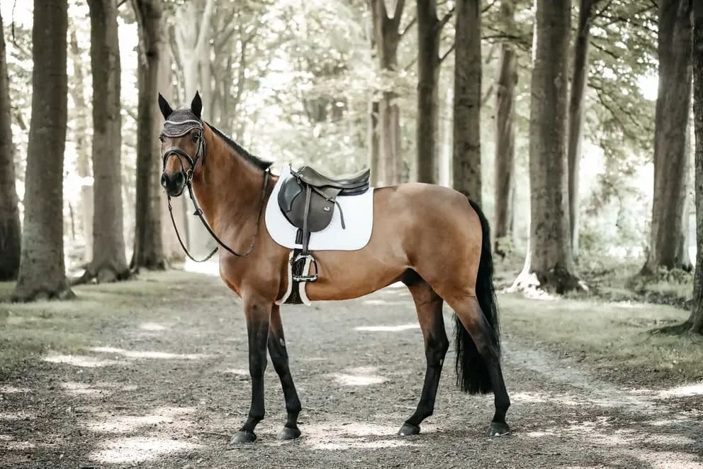 Kentucky Saddle Pad Fishbone Jumping