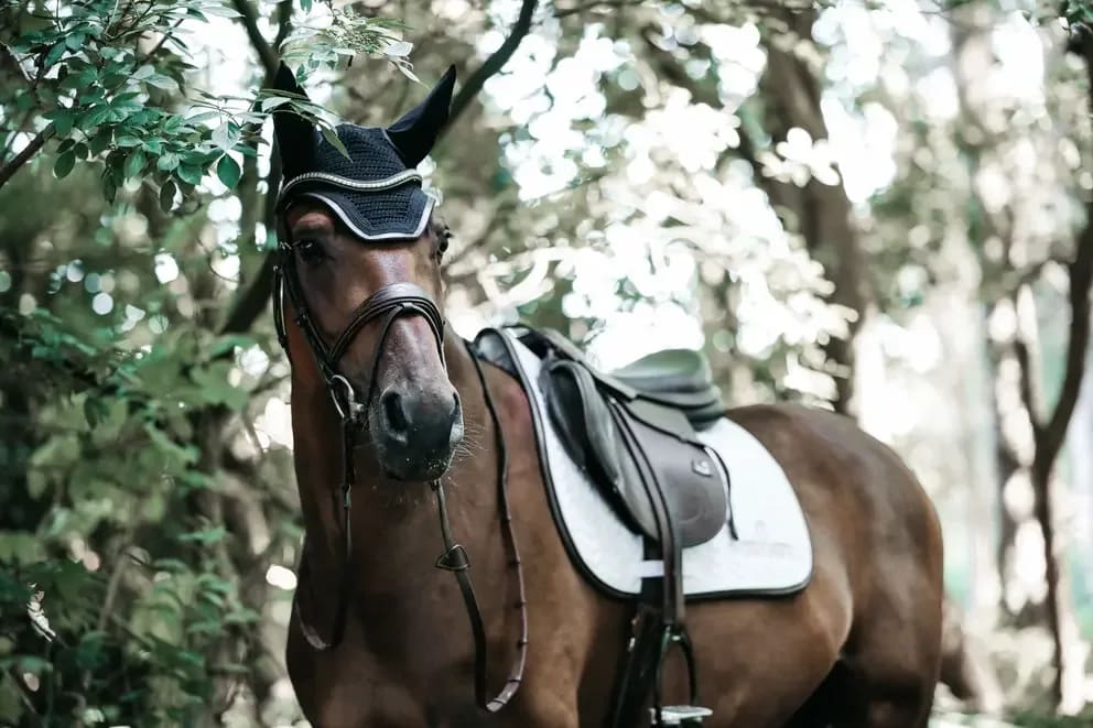 Kentucky Saddle Pad Fishbone Leather Jumping - Løwenborg - Kentucky Horsewear