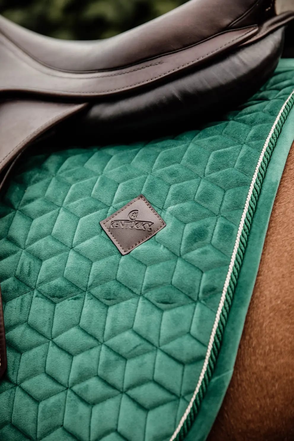 Kentucky Saddle Pad Velvet Jumping - Løwenborg - Kentucky Horsewear