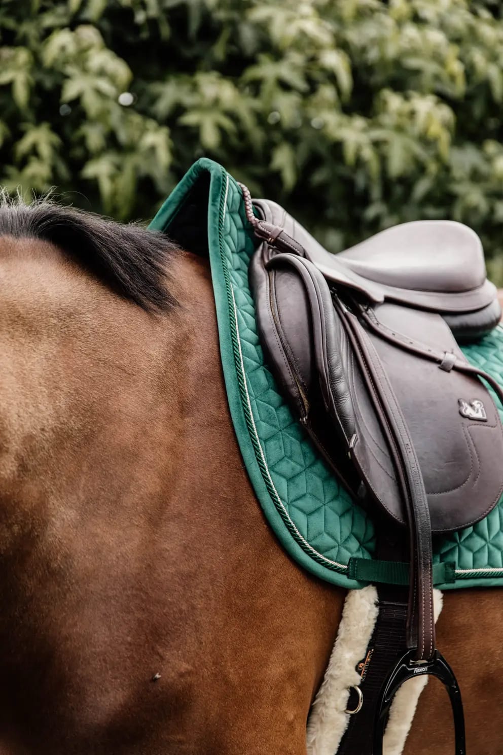 Kentucky Saddle Pad Velvet Jumping - Løwenborg - Kentucky Horsewear