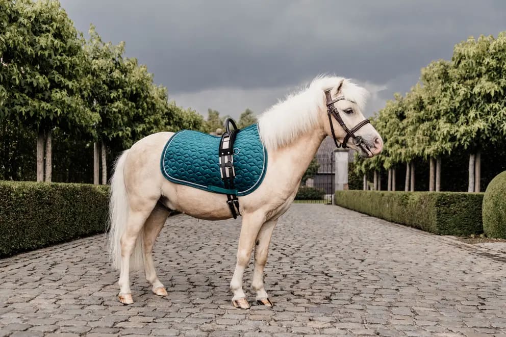 Kentucky Saddle Pad Velvet Jumping - Løwenborg - Kentucky Horsewear
