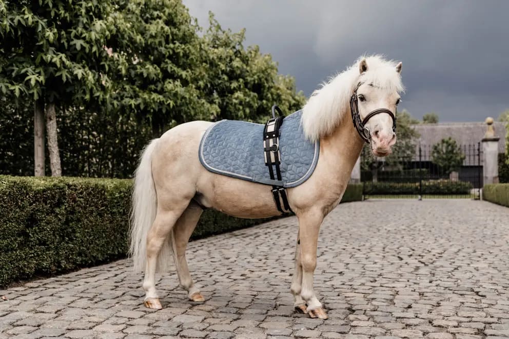 Kentucky Saddle Pad Velvet Jumping - Løwenborg - Kentucky Horsewear