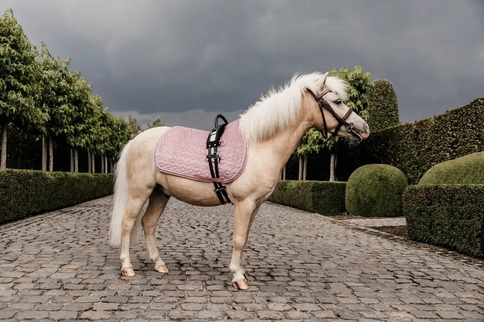 Kentucky Saddle Pad Velvet Jumping - Løwenborg - Kentucky Horsewear