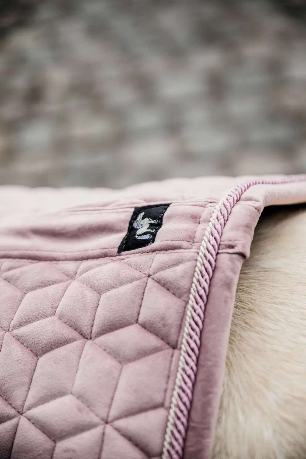 Kentucky Saddle Pad Velvet Jumping - Løwenborg - Kentucky Horsewear