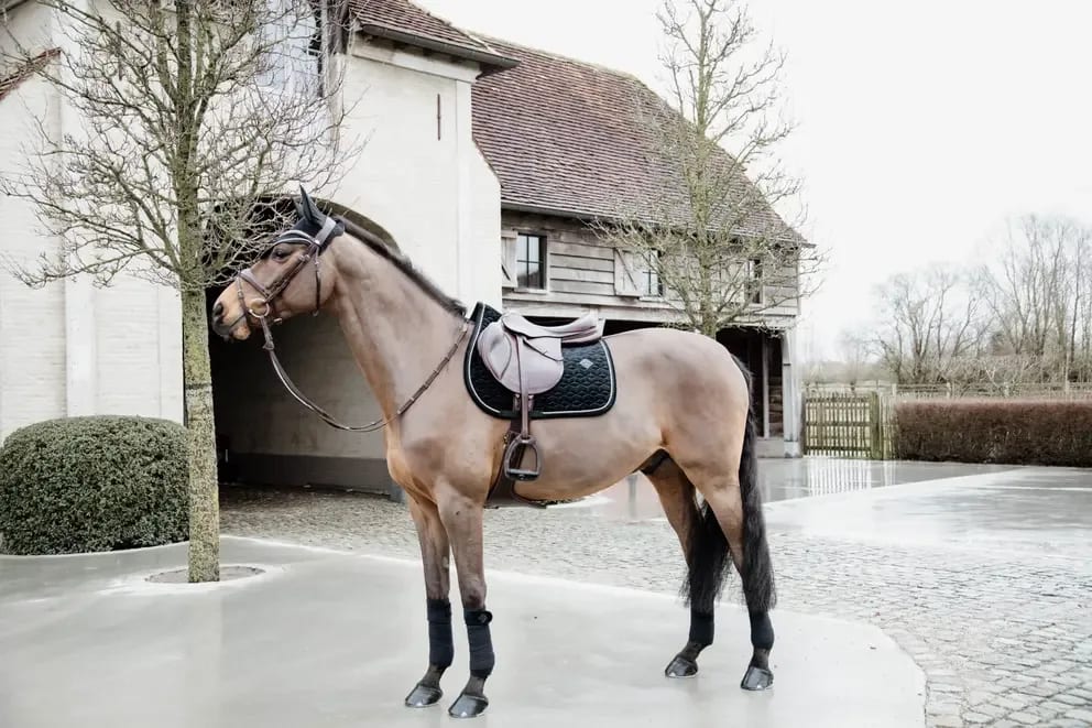 Kentucky Saddle Pad Velvet Jumping - Løwenborg - Kentucky Horsewear