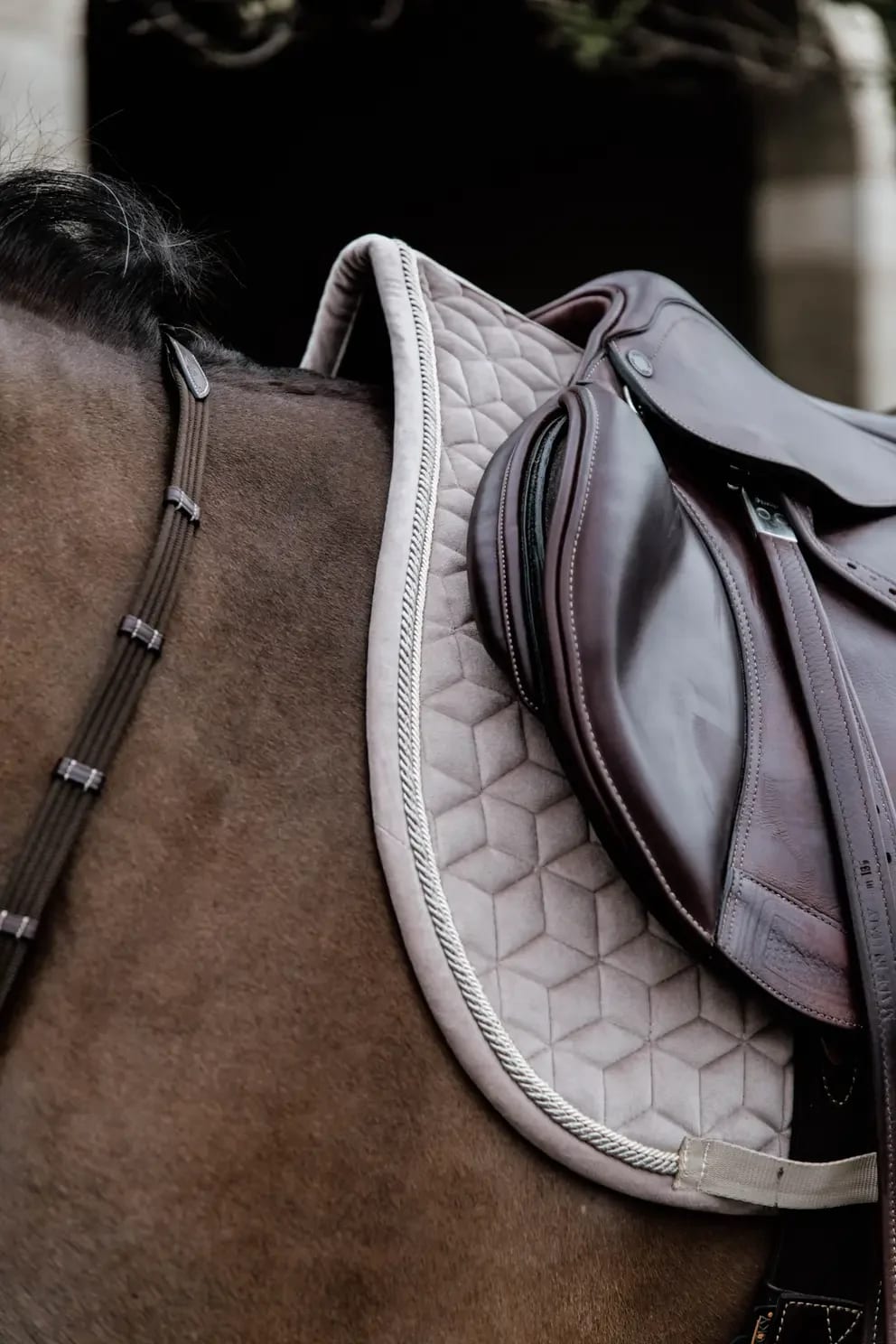 Kentucky Saddle Pad Velvet Jumping - Løwenborg - Kentucky Horsewear