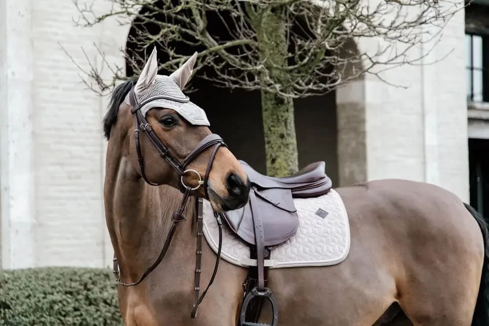 Kentucky Saddle Pad Velvet Jumping - Løwenborg - Kentucky Horsewear