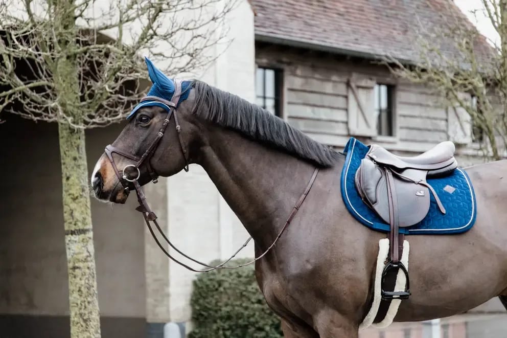 Kentucky Saddle Pad Velvet Jumping - Løwenborg - Kentucky Horsewear