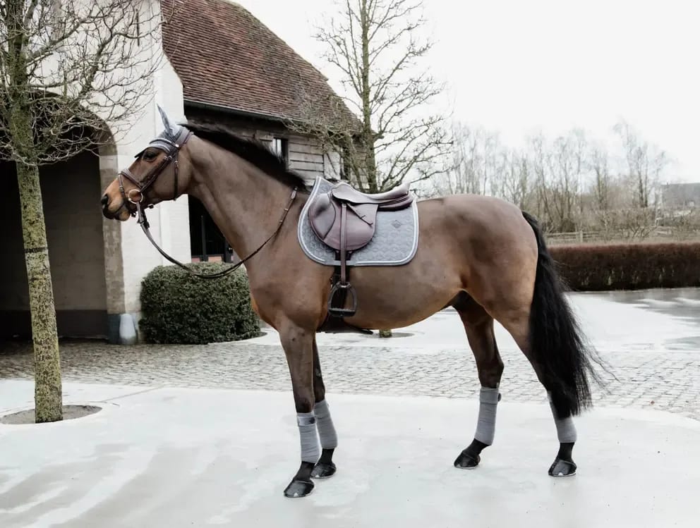 Kentucky Saddle Pad Velvet Jumping - Løwenborg - Kentucky Horsewear