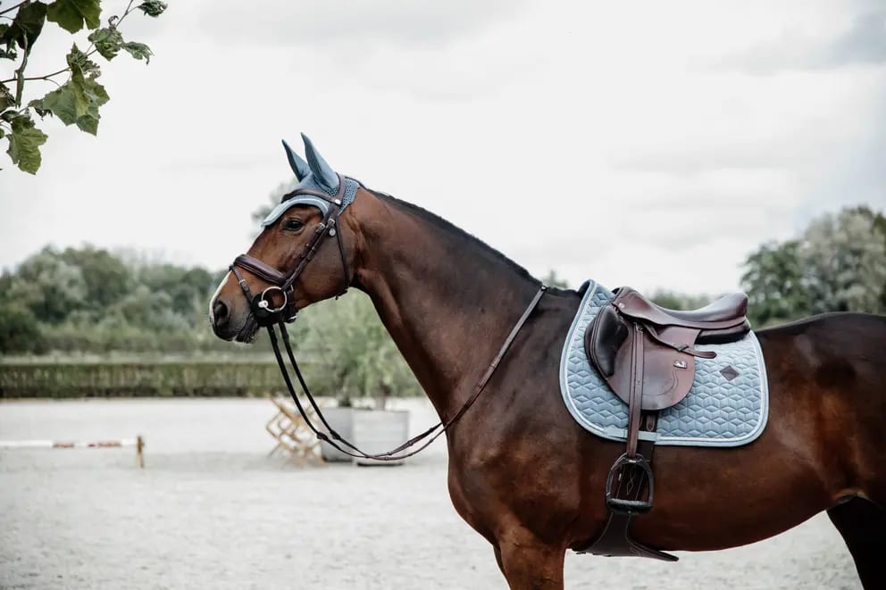 Kentucky Saddle Pad Velvet Jumping - Løwenborg - Kentucky Horsewear