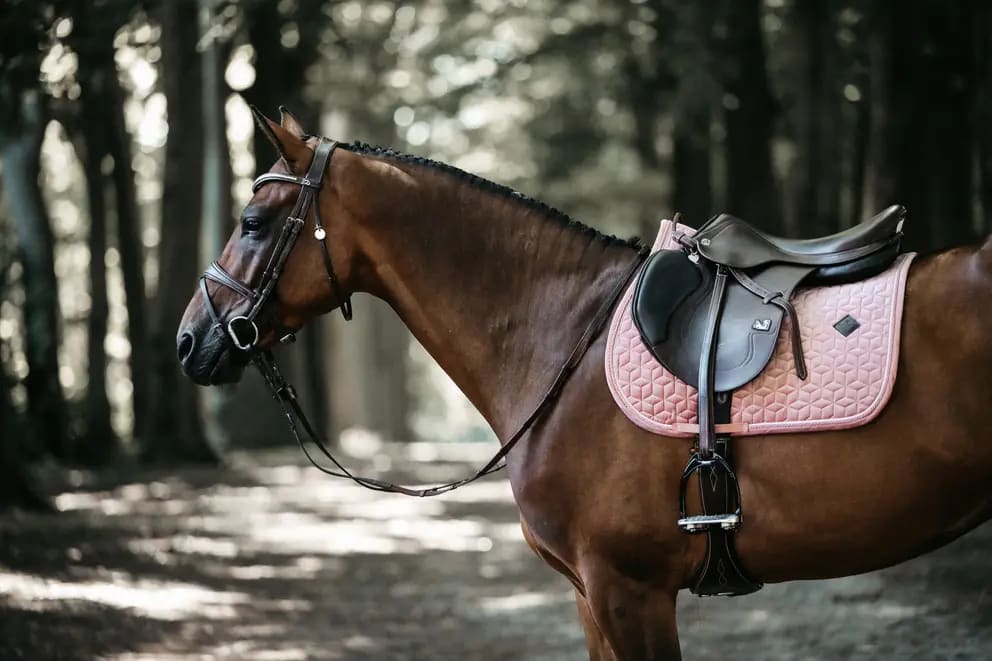 Kentucky Saddle Pad Velvet Jumping - Løwenborg - Kentucky Horsewear