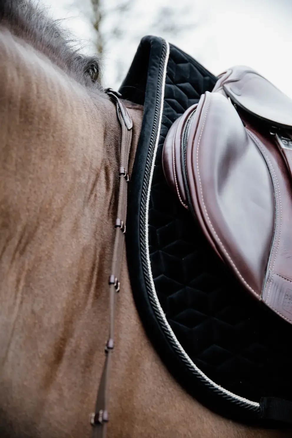Kentucky Saddle Pad Velvet Jumping - Løwenborg - Kentucky Horsewear