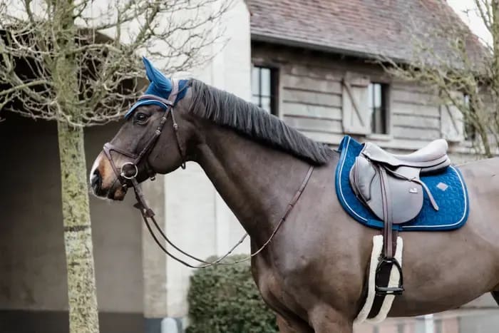 Kentucky Saddle Pad Velvet Jumping - Løwenborg - Kentucky Horsewear