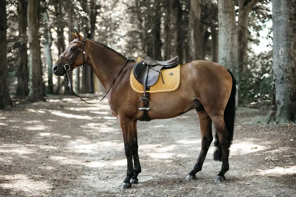 Kentucky Saddle Pad Velvet Jumping - Løwenborg - Kentucky Horsewear