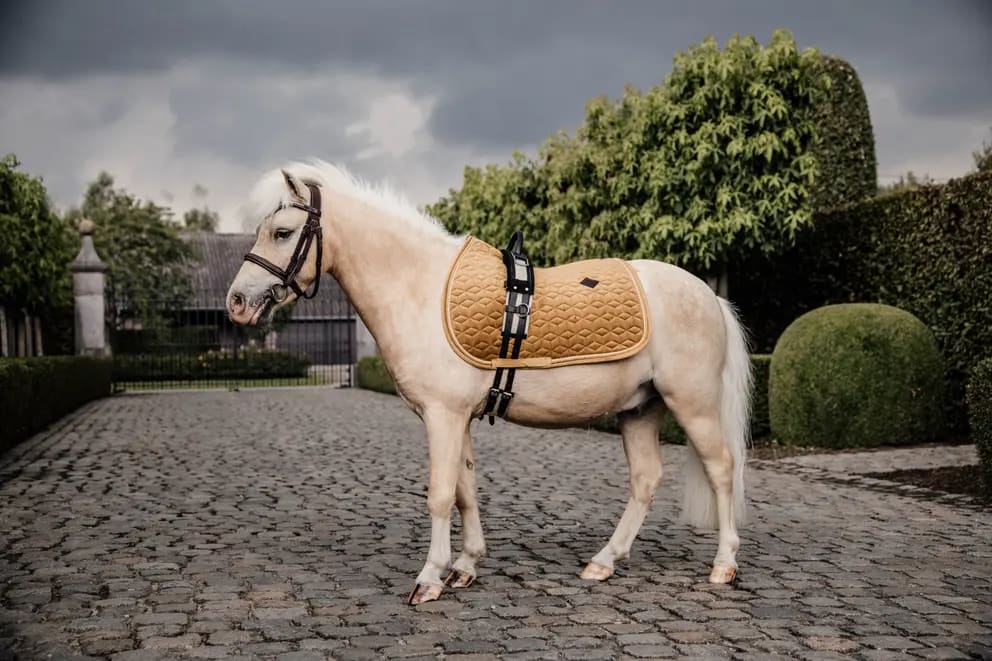 Kentucky Saddle Pad Velvet Jumping - Løwenborg - Kentucky Horsewear