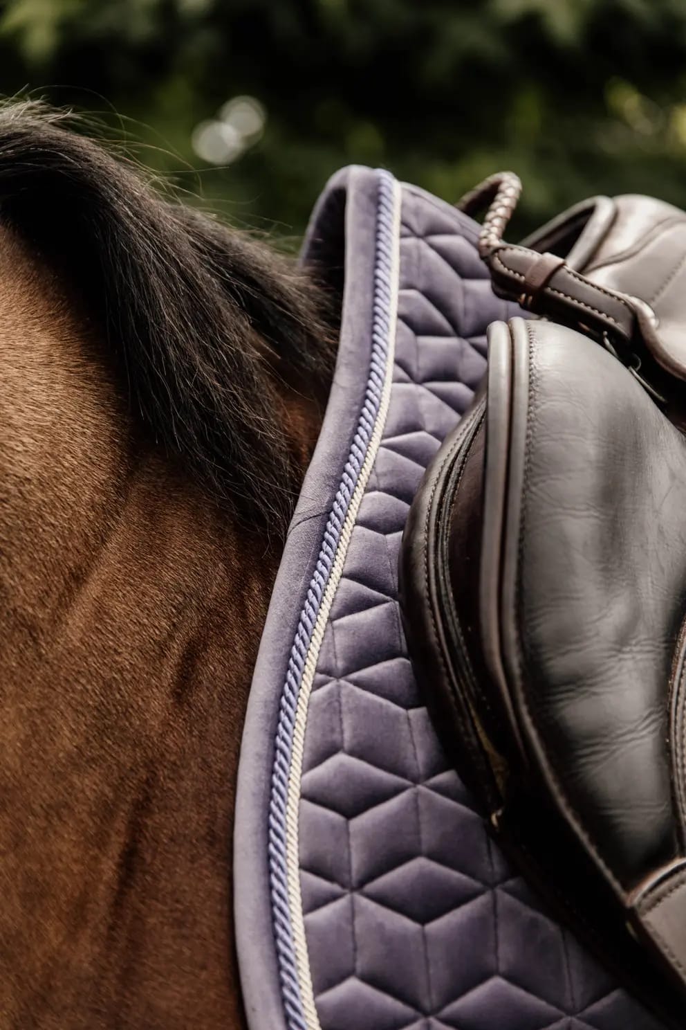 Kentucky Saddle Pad Velvet Jumping - Løwenborg - Kentucky Horsewear
