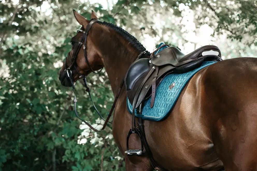 Kentucky Saddle Pad Velvet Jumping - Løwenborg - Kentucky Horsewear