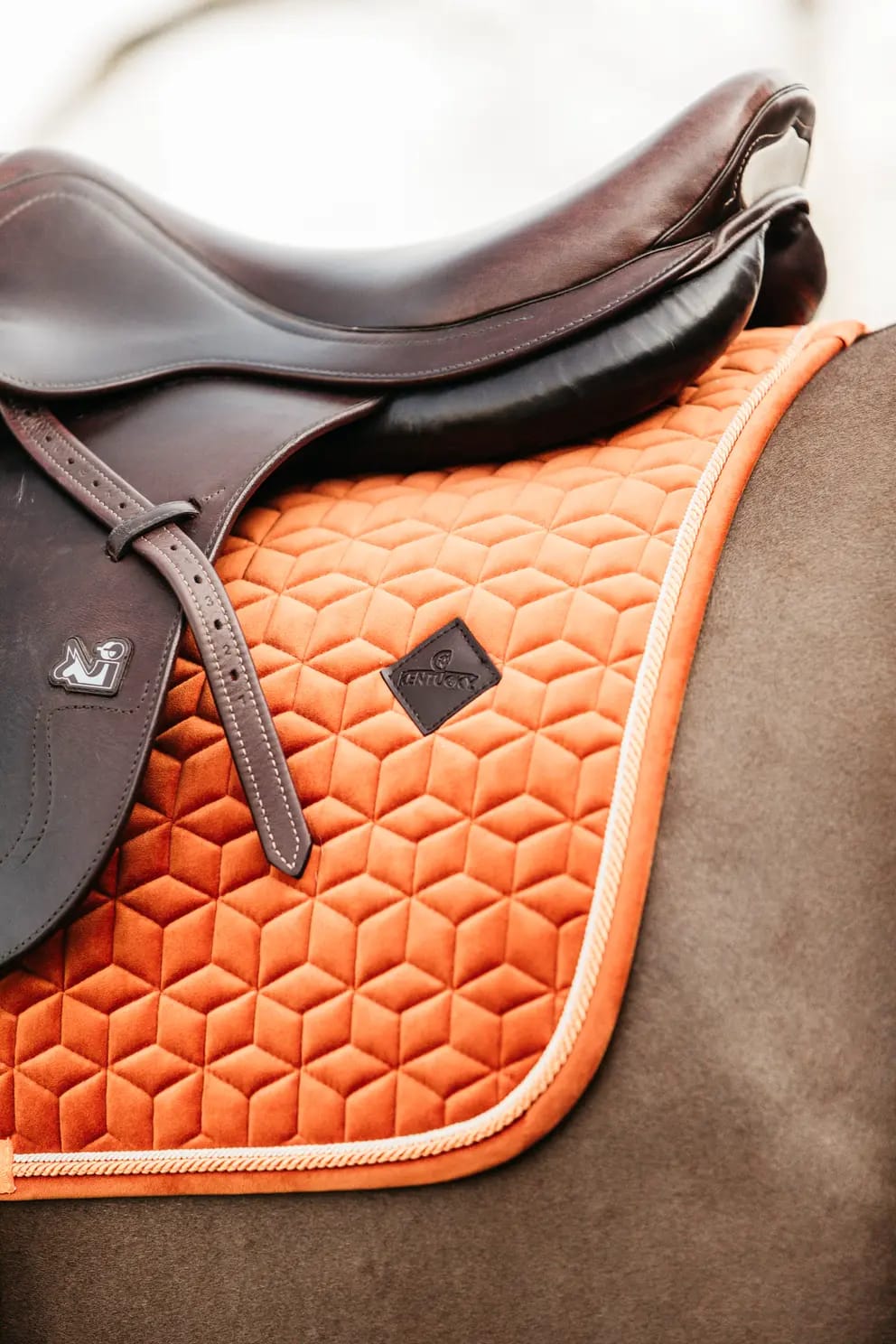 Kentucky Saddle Pad Velvet Jumping - Løwenborg - Kentucky Horsewear