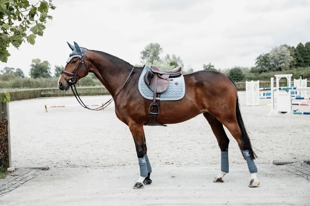 Kentucky Saddle Pad Velvet Jumping - Løwenborg - Kentucky Horsewear