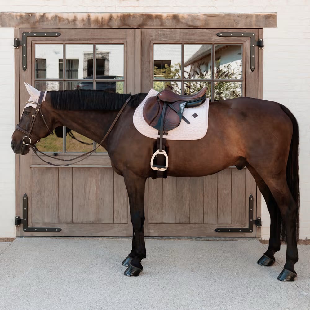 Kentucky Saddle Pad Velvet Jumping - Løwenborg - Kentucky Horsewear