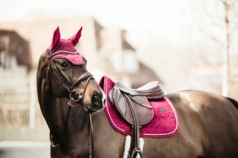 Kentucky Saddle Pad Velvet Jumping - Løwenborg - Kentucky Horsewear