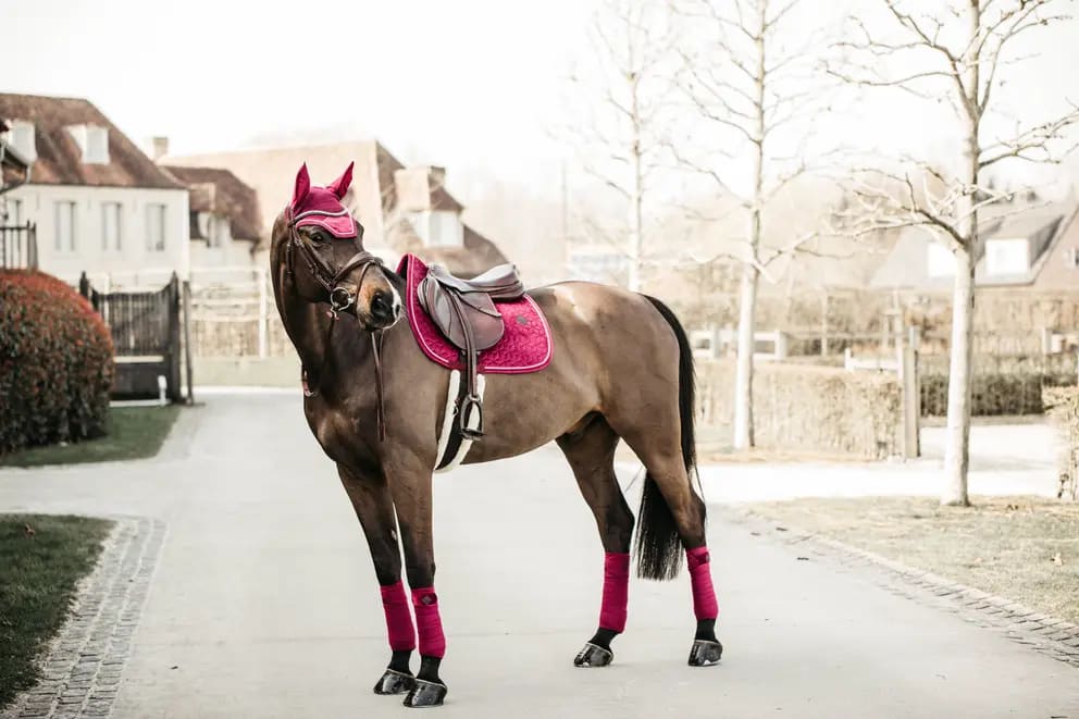 Kentucky Saddle Pad Velvet Jumping - Løwenborg - Kentucky Horsewear