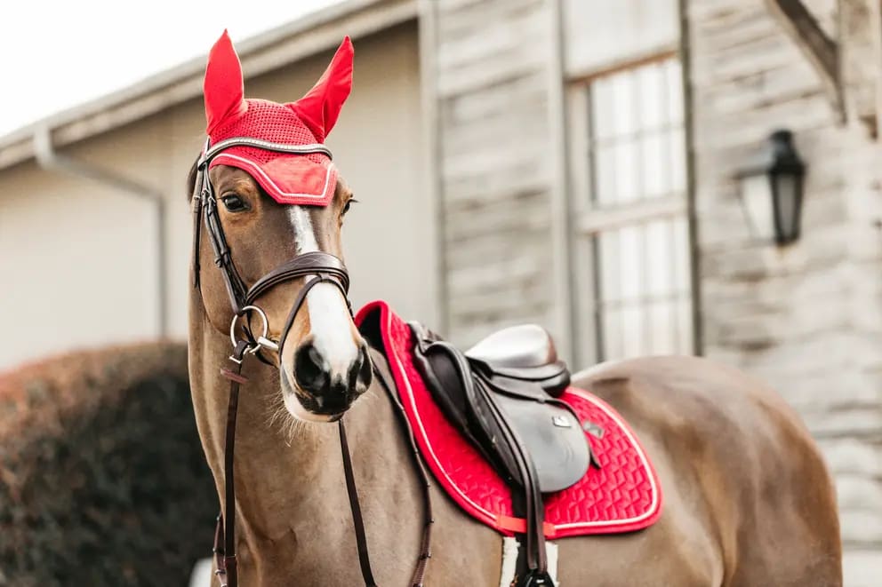 Kentucky Saddle Pad Velvet Jumping - Løwenborg - Kentucky Horsewear