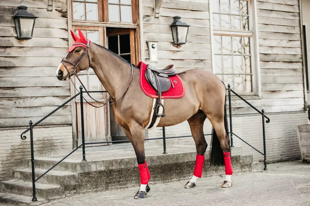Kentucky Saddle Pad Velvet Jumping - Løwenborg - Kentucky Horsewear