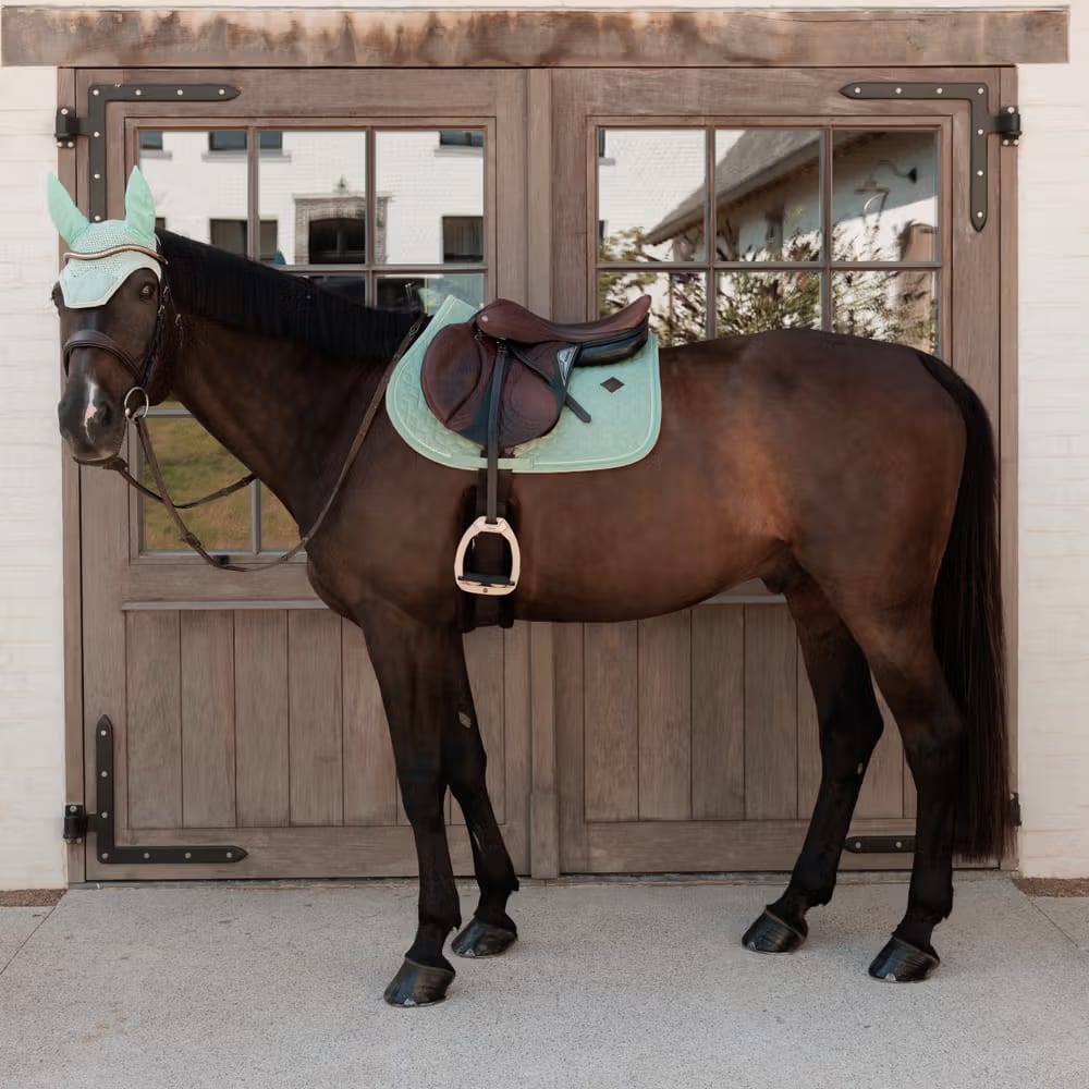 Kentucky Saddle Pad Velvet Jumping - Løwenborg - Kentucky Horsewear