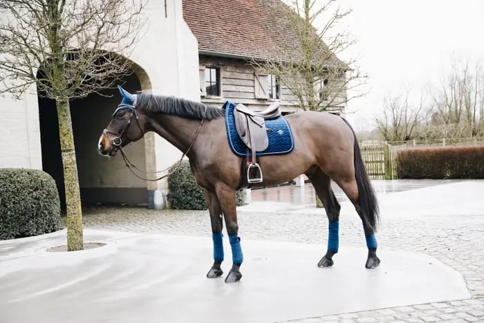 Kentucky Saddle Pad Velvet Dressage - Løwenborg - Kentucky Horsewear