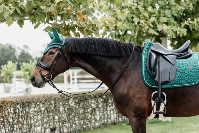 Kentucky Saddle Pad Velvet Dressage - Løwenborg - Kentucky Horsewear