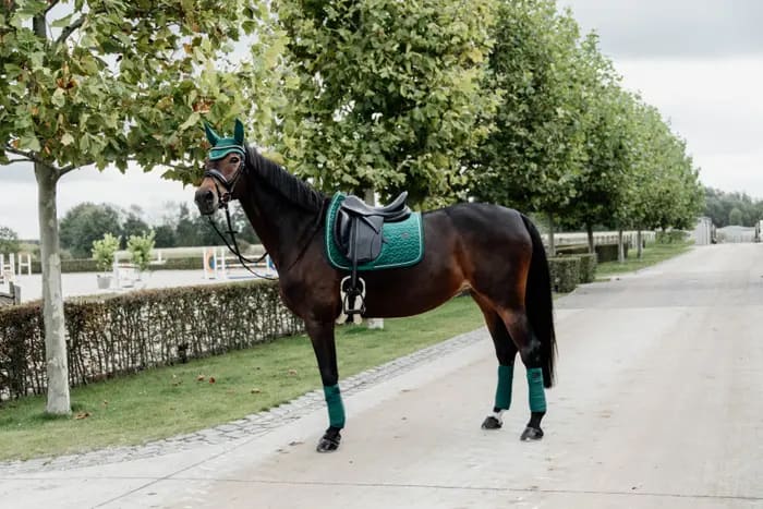 Kentucky Saddle Pad Velvet Dressage - Løwenborg - Kentucky Horsewear