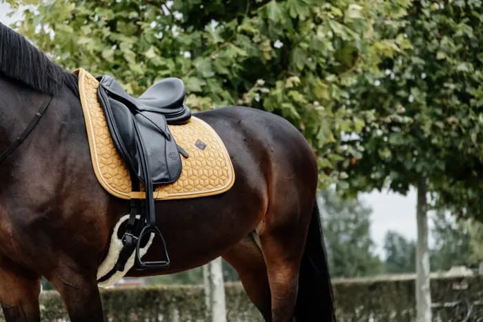 Kentucky Saddle Pad Velvet Dressage - Løwenborg - Kentucky Horsewear