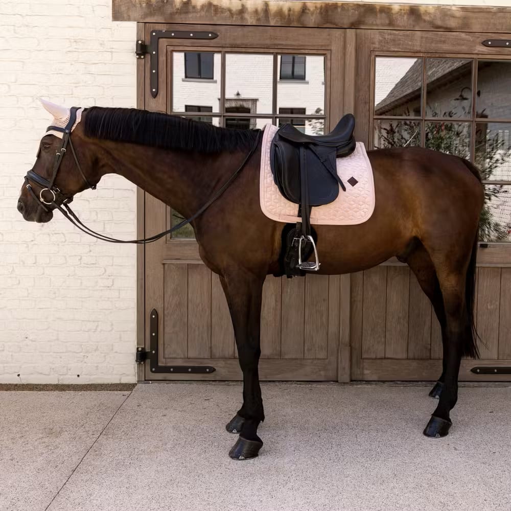 Kentucky Saddle Pad Velvet Dressage - Løwenborg - Kentucky Horsewear