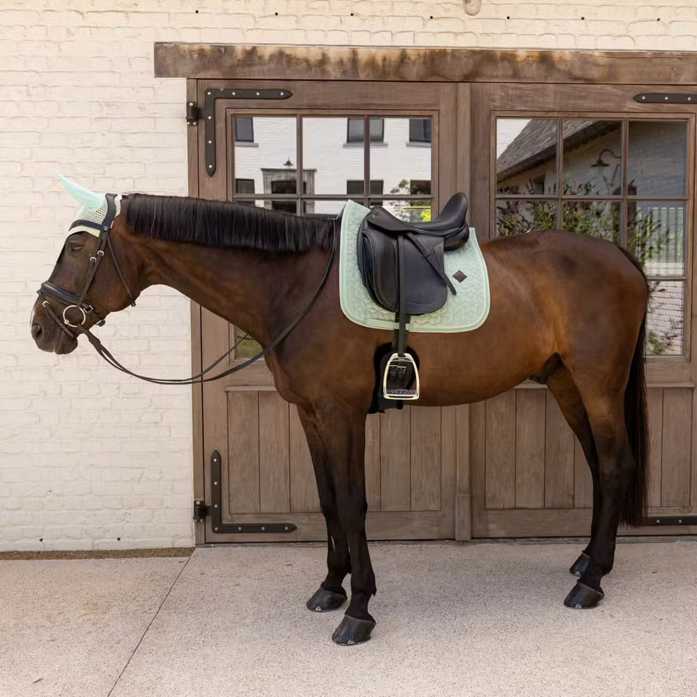 Kentucky Saddle Pad Velvet Dressage - Løwenborg - Kentucky Horsewear