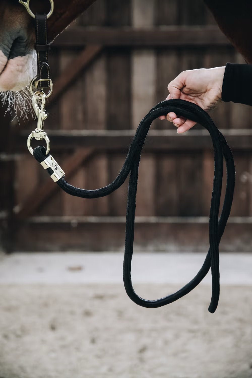 Kentucky Lead Rope Basic - Løwenborg - Kentucky Horsewear