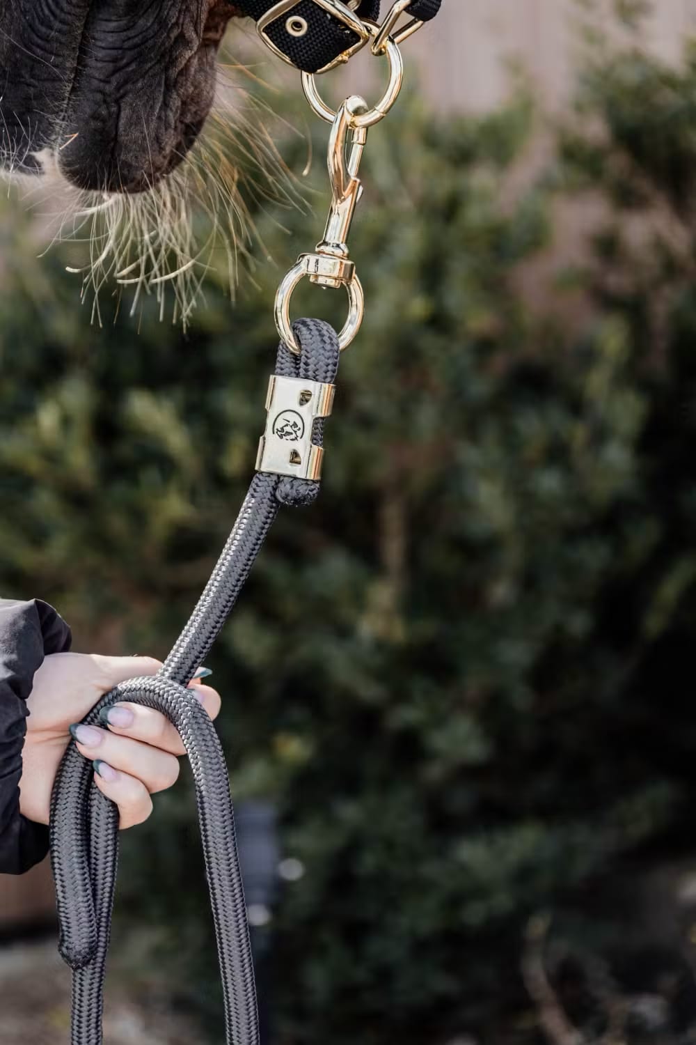 Kentucky Lead Rope Basic - Løwenborg - Kentucky Horsewear