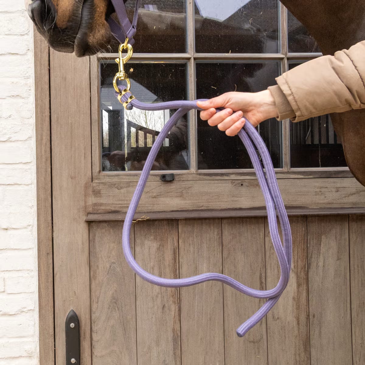 Kentucky Lead Rope Basic - Løwenborg - Kentucky Horsewear