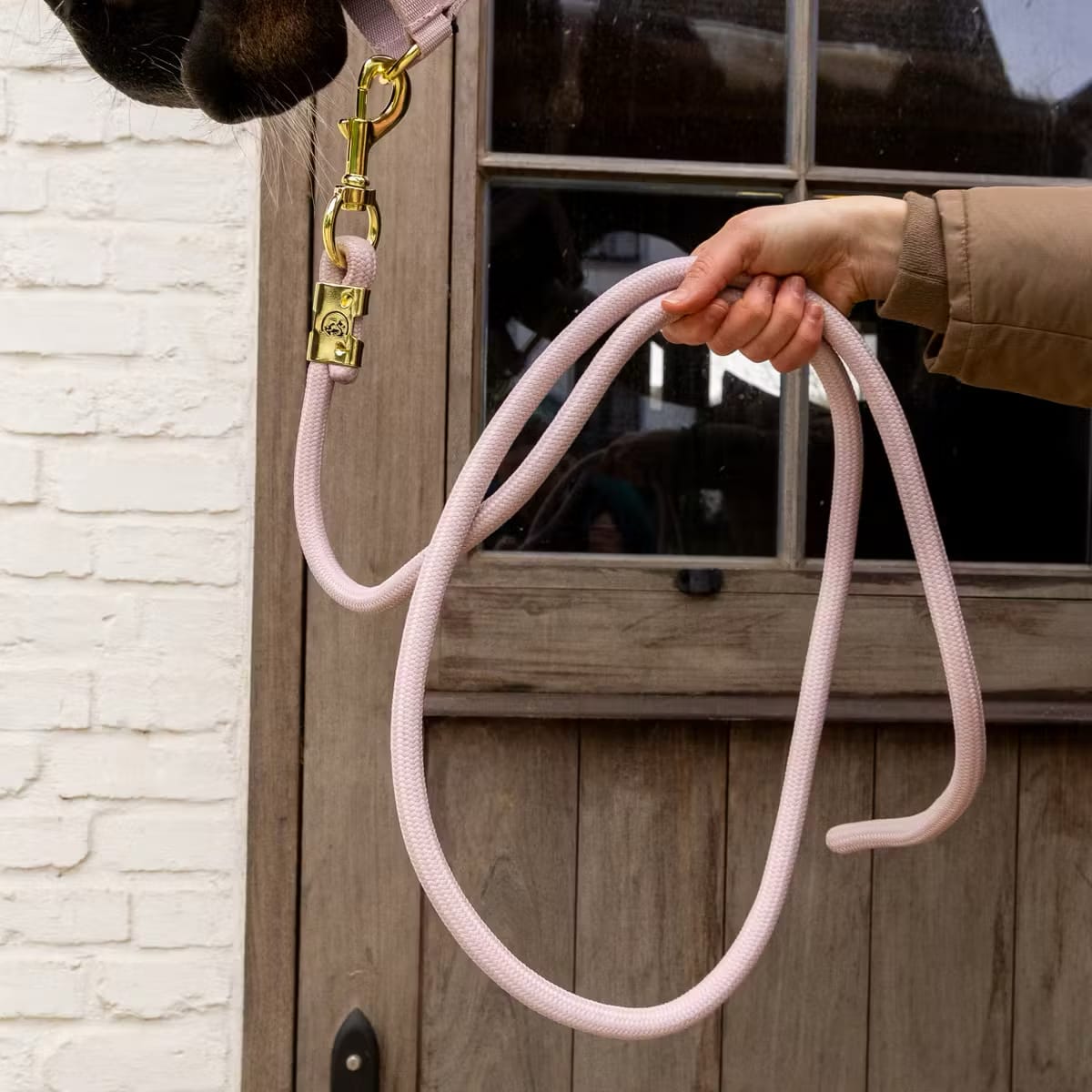 Kentucky Lead Rope Basic - Løwenborg - Kentucky Horsewear
