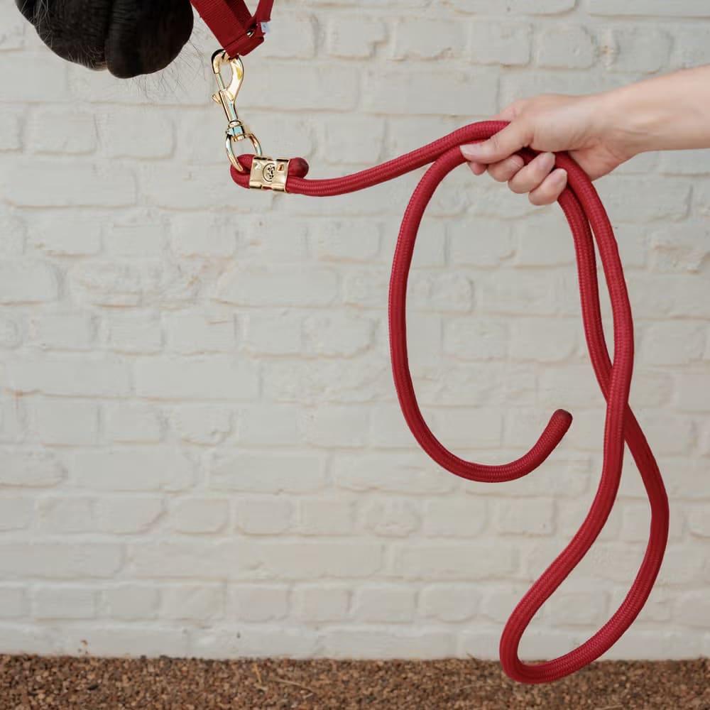 Kentucky Lead Rope Basic - Løwenborg - Kentucky Horsewear