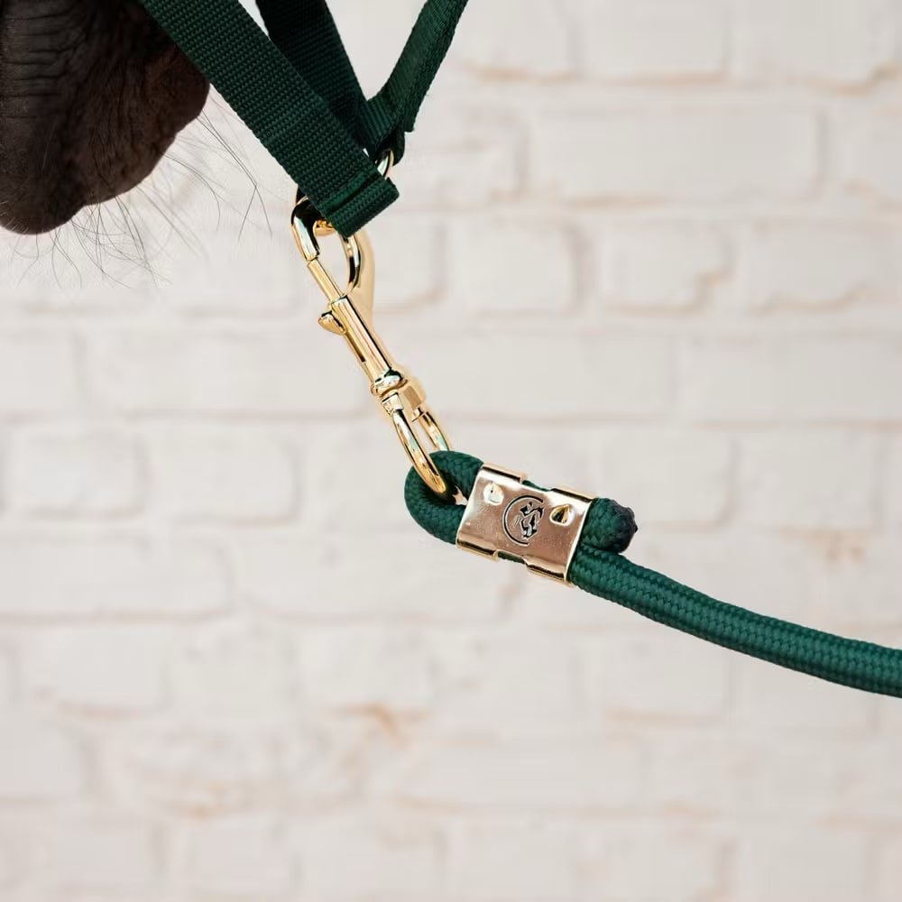 Kentucky Lead Rope Basic - Løwenborg - Kentucky Horsewear