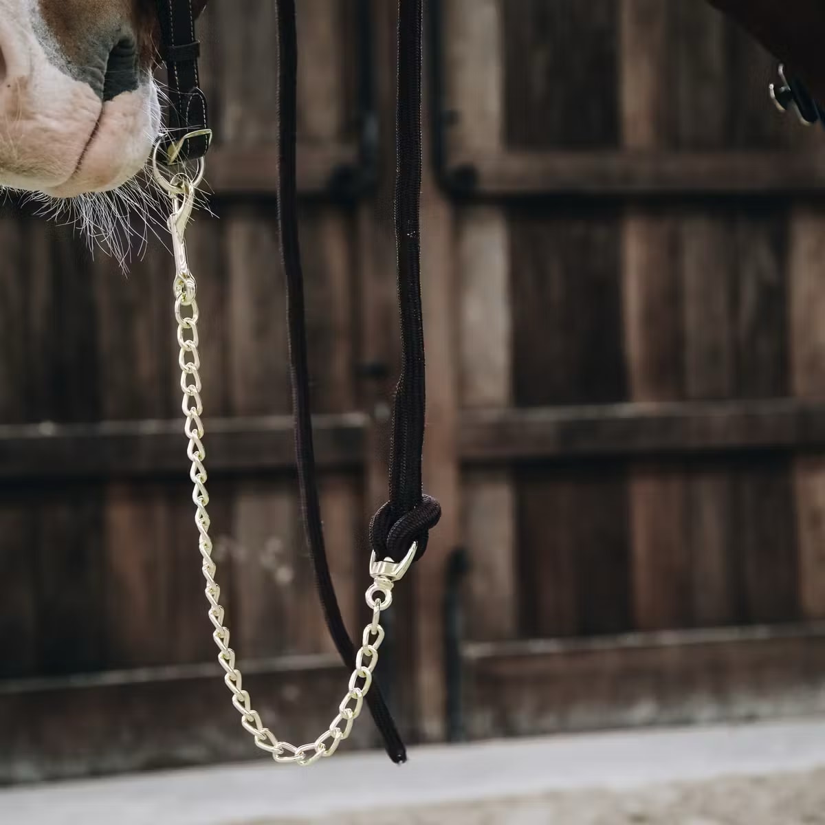 Kentucky Lead Rope Loop