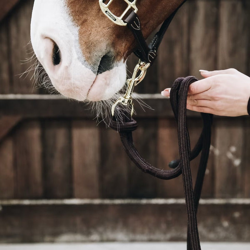 Kentucky Lead Rope Loop - Løwenborg - Kentucky Horsewear