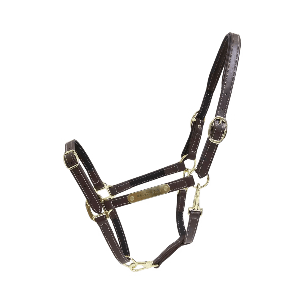 Kentucky Leather Halter Flexible - Løwenborg - Kentucky Horsewear